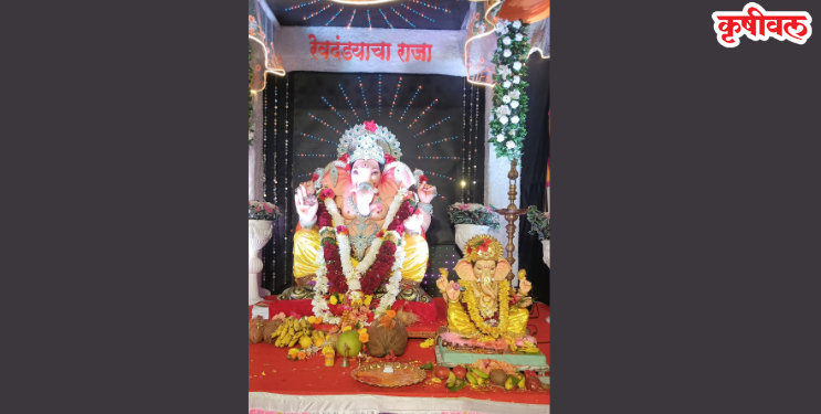 ‌‘रेवदंड्याचा राजा‌’च्या चरणी गाव एकवटले