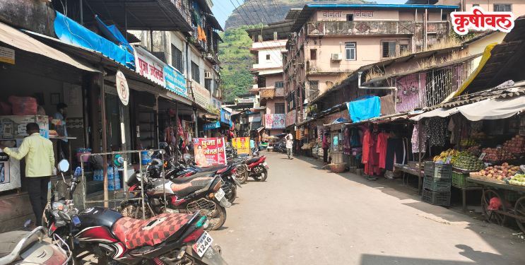 पालीतील अवैध पार्किंगचा विळखा