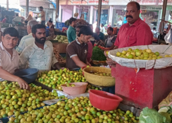 जेवणातील लिंबाची चव महागली