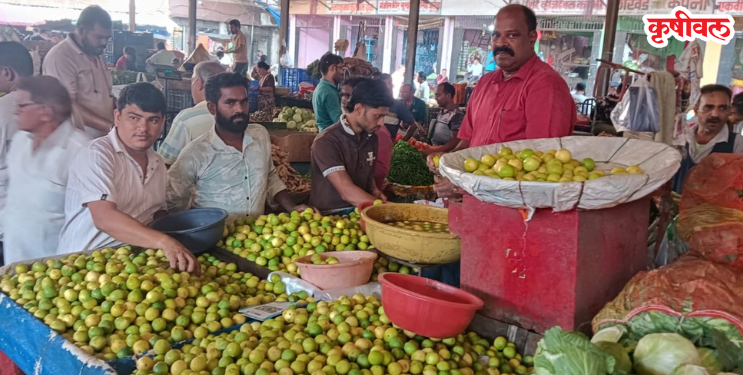 जेवणातील लिंबाची चव महागली