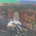 ऑक्टोबरमध्ये उन्हाचा तडाखा वाढला