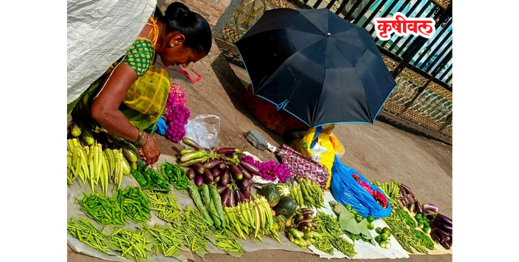 गावरान भाज्यांची आवक वाढली