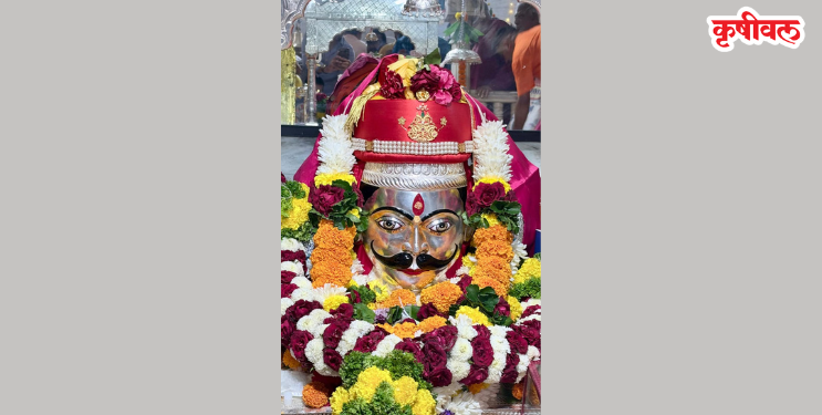 श्री धावीर महाराज देवघटी बसले