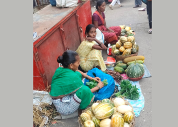 रानभाज्यांमुळे आदिवासी कुटुंबांना रोजगार