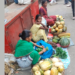 रानभाज्यांमुळे आदिवासी कुटुंबांना रोजगार