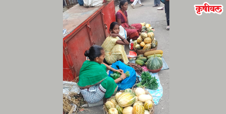 रानभाज्यांमुळे आदिवासी कुटुंबांना रोजगार