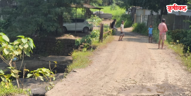 कलोते-रयती पुल धोकादायक स्थितीत
