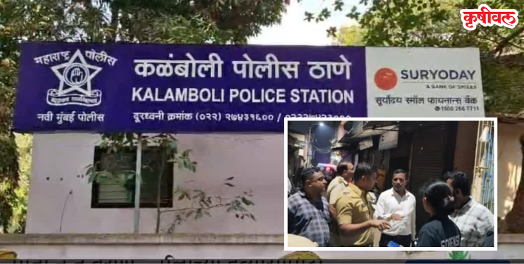 कळंबोलीत कौटुंबिक वादातून पत्नीची हत्या