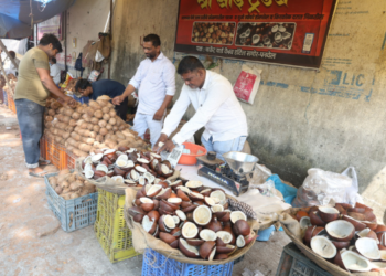 नवरात्रोत्सवात नारळाच्या किमतींत वाढ