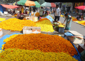 दसऱ्यानिमित्त झेंडूच्या फुलांची रेलचेल