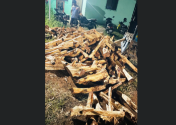 खैर तस्करी प्रकरणावर वनविभागाचा गोलमाल?