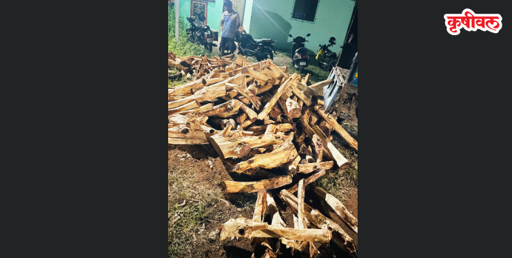 खैर तस्करी प्रकरणावर वनविभागाचा गोलमाल?
