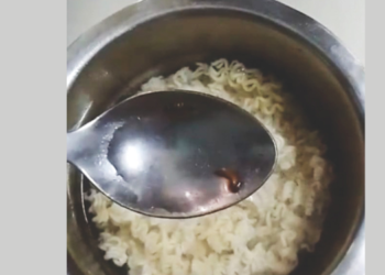 मॅगी पॅकेटमध्ये जिवंत किडे