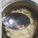 मॅगी पॅकेटमध्ये जिवंत किडे