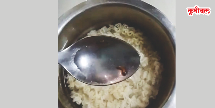 मॅगी पॅकेटमध्ये जिवंत किडे