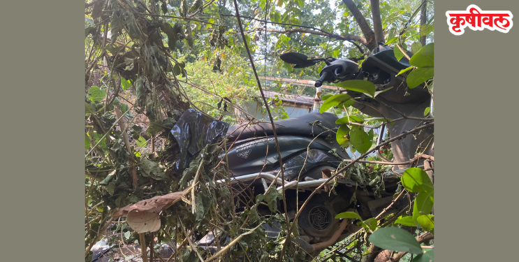 एकविरा देवीचे दर्शन घेऊन परतताना दांपत्याचा अपघाती मृत्यू