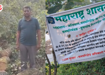 टोरंट हायड्रॉलिक वीज प्रकल्पासाठी 32,480 झाडांची कत्तल