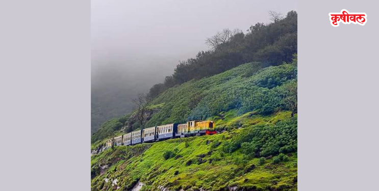 शुक्रवारपासून मिनीट्रेन पुन्हा धावणार