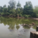 पाली नगरपंचायतीचे पाणी साठवणुकीवर भर